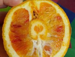 Begini Alam Mengejutkan Kita dengan Cara Tak Terduga