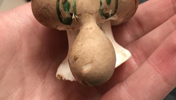 Mirip Squidward ya... Foto: Reddit via Brightside