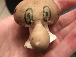 Begini Alam Mengejutkan Kita dengan Cara Tak Terduga