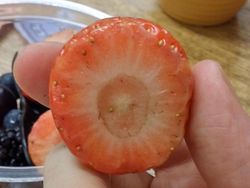 Begini Alam Mengejutkan Kita dengan Cara Tak Terduga