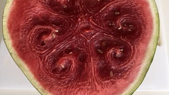 Pola di semangka. Foto: Reddit via Brightside