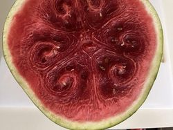 Begini Alam Mengejutkan Kita dengan Cara Tak Terduga