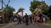 Perang Obor adalah adegan saling memukulkan pelepah kelapa dan pisang yang telah dibakar ke arah lawan. Upacara ini dilakukan sebagai tolak bala.  