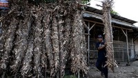 Perang obor merupakan upacara adat tahunan Desa Tegalsambi, Jepara.   