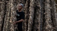 Perang Obor merupakan tradisi tolak bala yang rutin dilaksanakan setiap tahun, yakni pada Senin Pahing, malam Selasa Pon bulan Zulhijah tahun Hijriah.  