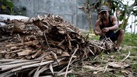Obor terbuat dari pelepah kelapa kering dan diisi dengan daun pisang kering.  