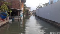 Banjir terparah menurutnya berada disekitar Pos 1 Pelabuhan Tanjung Emas. Jika diukur dari tinggi tubuhnya, banjir mencapai pinggang orang dewasa. (Foto: Afzal Nur Iman/detikJateng)