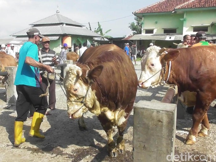 Kondisi pasar hewan di Banjarnegara, Senin (20/6/2022).