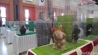 Ayam hias dengan kaki penuh bulu, dalam kontes yang digelar di Kota Blitar/Foto: Erliana Riady/detikJatim