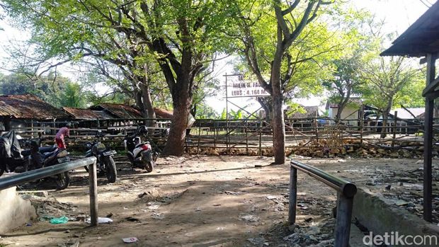 Pasar Bringkoning Sampang
