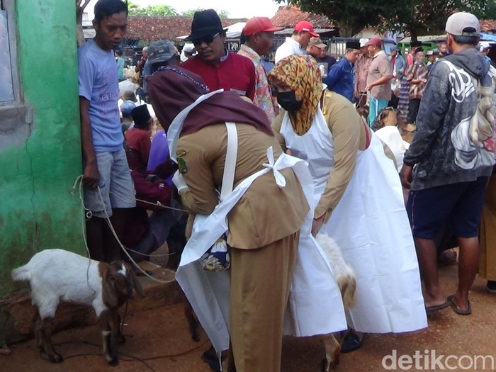 Petugas kesehatan memeriksa kambing di pasar hewan di Sumenep