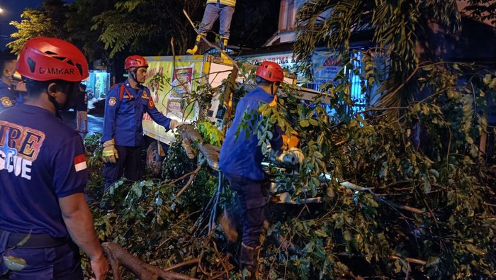 Pohon tumbang timpa mobil boks di Purwakarta.
