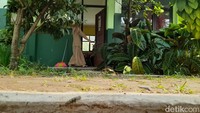 Sementara waktu, siswa kelas 1, 2, dan 3 yang biasa belajar di 3 ruang kelas yang berdekatan dengan halaman, dipindah sementara ke ruang kelas lain. (M Sholihin/detikcom)