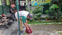 Penjaga sekolah tampak tengah sibuk untuk menyingkirkan ulat-ulat yang mencoba merayap mendekati ruang kelas (M Sholihin/detikcom)
