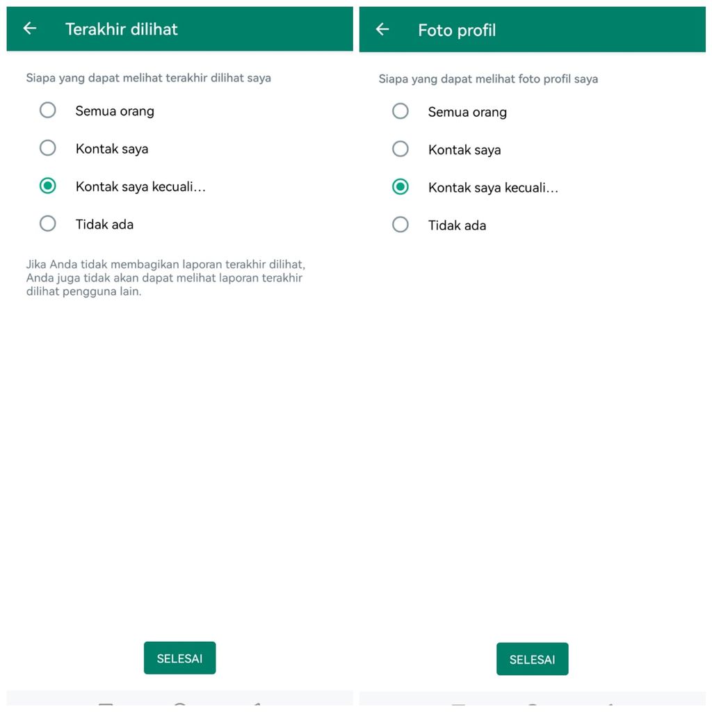 Tampilan fitur privasi baru WhatsApp