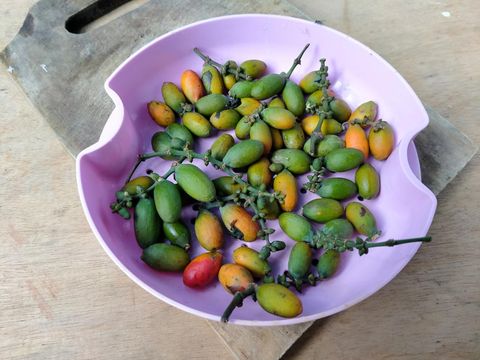 Gnetum gnemon fruit in a purple bowl on a wooden chopping board
