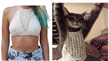 Ekspektasi dan realita yang mencengankan Foto: Reddit 