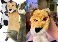 Foto ekspektasi vs realita
