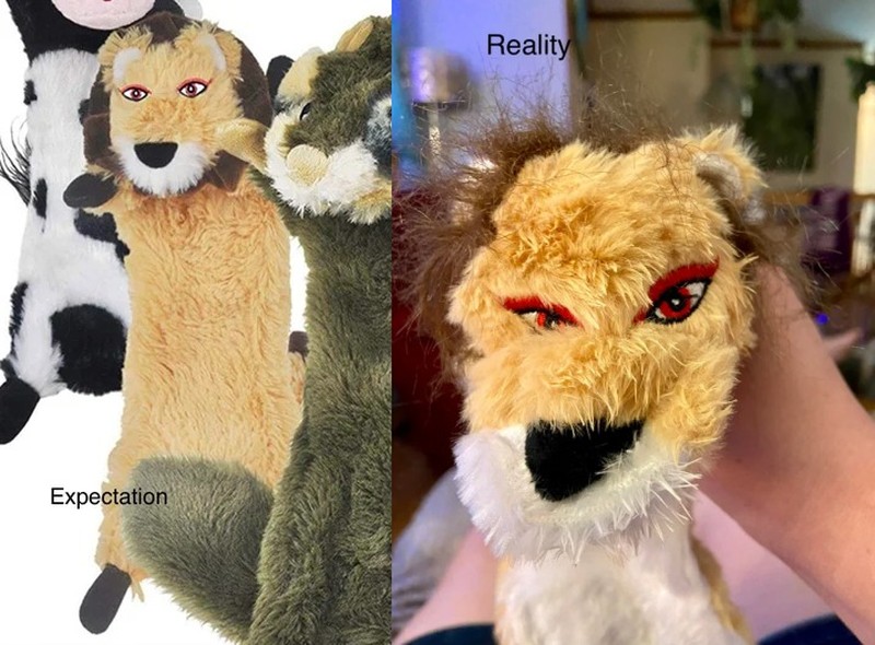 Foto ekspektasi vs realita