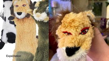 Ekspektasi dan realita jauh berbeda. Foto: Reddit