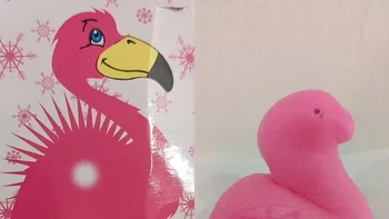 Demikian pula burung flamingo ini. Foto: Reddit