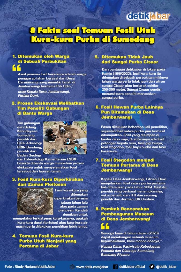 Infografis fosil utuh kura-kura purba di Sumedang