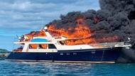 Kapal Yacht Terbakar Hebat, 3 Turis dan 2 Anjing Lompat ke Laut