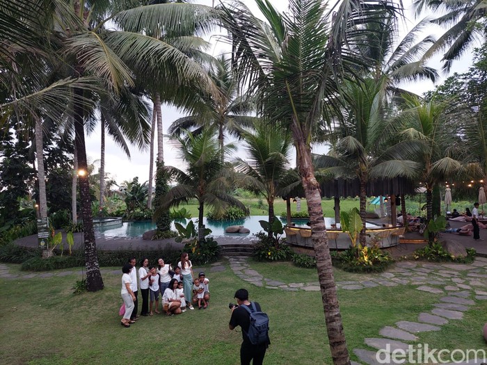 Kelapa Muda Ubud Kelapa Muda Ubud