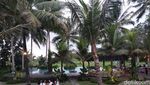 Santai Sore di Ubud nan Sejuk