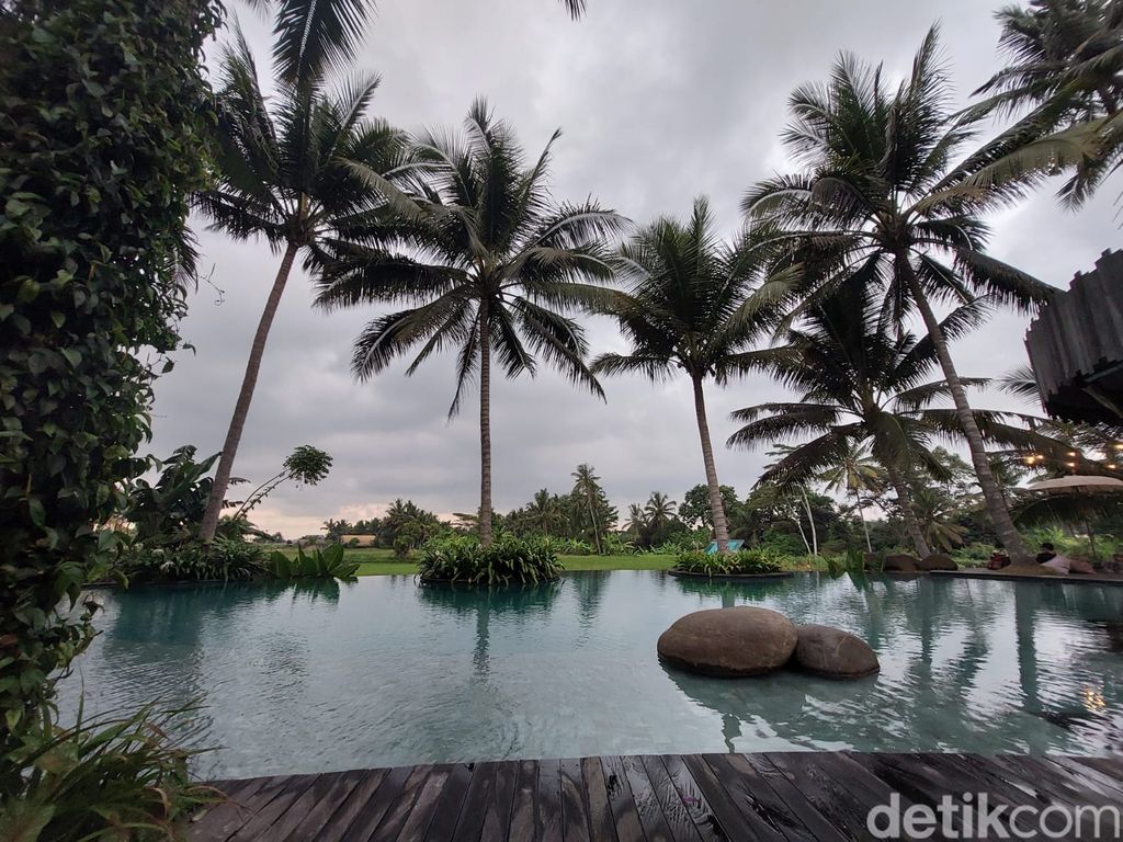 Kelapa Muda Ubud