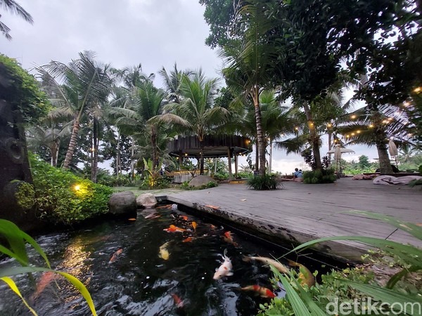 Di sini juga ada kolam ikan kecil. Kamu bisa nih menyegarkan mata melihat ikan mas warna-warni yang gendut-gendut. Bagi traveler yang ingin memberi makan ikan juga bisa. Di sini juga ada kolam ikan kecil. Kamu bisa nih menyegarkan mata melihat ikan mas warna-warni yang gendut-gendut. Bagi traveler yang ingin memberi makan ikan juga bisa.