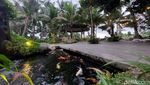 Santai Sore di Ubud nan Sejuk