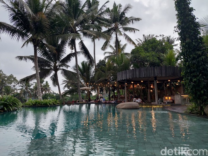 Kelapa Muda Ubud