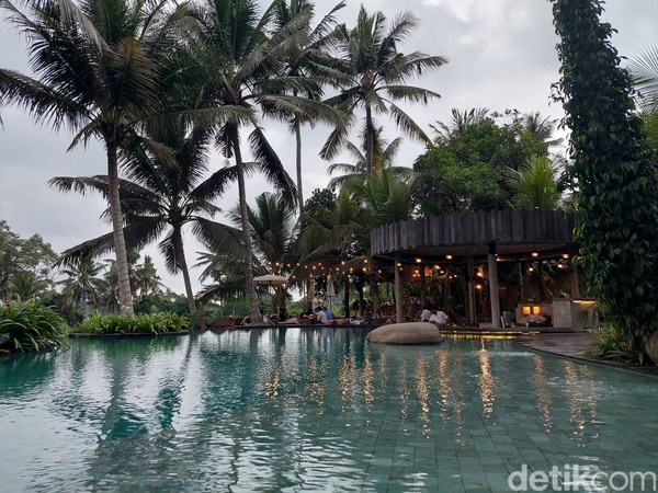 Selain kolam renang, fasilitas yang dimiliki oleh Kelapa Muda Ubud diantaranya wifi, toilet dan ruang ganti, playground, parkiran dan golf car untuk antar jempur. Bagi traveler yang membawa mobil, nanti akan dijemput oleh golf car karena lokasi parkiran cukup jauh untuk jalan kaki menuju kafe. Tapi bagi yang bawa motor bisa langsung parkir di dekat kafe. Selain kolam renang, fasilitas yang dimiliki oleh Kelapa Muda Ubud diantaranya wifi, toilet dan ruang ganti, playground, parkiran dan golf car untuk antar jempur. Bagi traveler yang membawa mobil, nanti akan dijemput oleh golf car karena lokasi parkiran cukup jauh untuk jalan kaki menuju kafe. Tapi bagi yang bawa motor bisa langsung parkir di dekat kafe.
