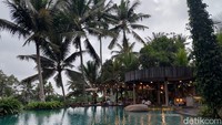 Selain kolam renang, fasilitas yang dimiliki oleh Kelapa Muda Ubud diantaranya wifi, toilet dan ruang ganti, playground, parkiran dan golf car untuk antar jempur. Bagi traveler yang membawa mobil, nanti akan dijemput oleh golf car karena lokasi parkiran cukup jauh untuk jalan kaki menuju kafe. Tapi bagi yang bawa motor bisa langsung parkir di dekat kafe.