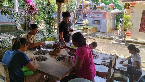 Kisah Komang Sukarsana, Cita-cita PNS Eh Kini Jadi Pengusaha Kopi
