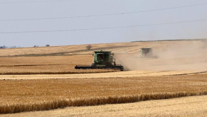 Musim panen gandum telah tiba di Ukraina. Sebagian petani di Odessa pun sudah untuk melakukan panen di tengah invasi Rusia ke Ukraina.
