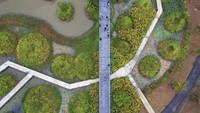 Arsitek lanskap mendesain tempat ini dengan memadukan taman lama dan baru. Lebih dari 1.700 pohon dewasa yang sudah berdiri dipertahankan. Kemudian, hampir 7.000 pohon muda ditanam untuk membuat kantung-kantung hutan. Ketika pohon-pohon baru itu berumur, kerimbunannya akan meluas dan memperdalam hutan buatan tersebut. (AP/Krit Phromsakla Na Sakolnakorn)