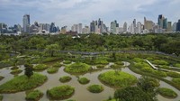 Taman itu sedianya baru dibuka secara resmi pada Agustus mendatang. Namun, per Juni 2022, Taman Benjakitti ramai didatangi pengunjung. (AP/Krit Phromsakla Na Sakolnakorn)