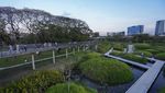 Ciamik, Bangkok Punya Hutan Kota yang Sangat Luas dan Seindah Ini