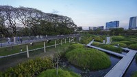Taman Benjakitti yang dipenuhi pepohonan, kolam, dan burung-burung ini menjadi tempat rekreasi warga Bangkok yang penat dengan padatnya ibu kota, Minggu, (19/6/2022). (AP/Sakchai Lalit)