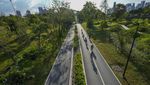 Ciamik, Bangkok Punya Hutan Kota yang Sangat Luas dan Seindah Ini