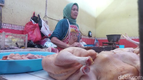 Pedagang ayam di Pasar Sidoharjo Lamongan