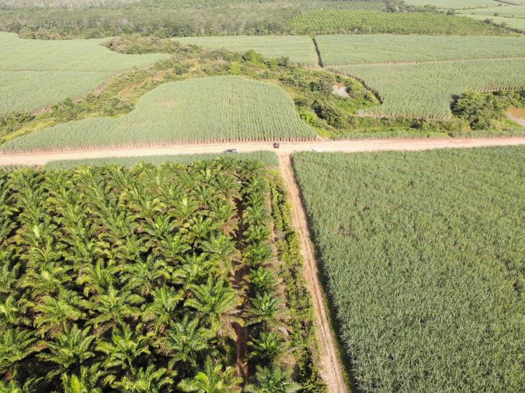 Penampakan 4300 Hektare Lahan Diserobot Eks Cawalkot Palembang