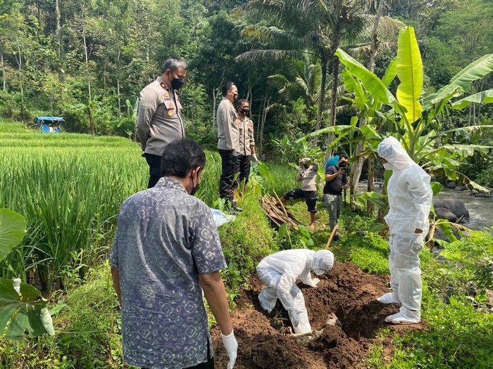 Petugas menguburkan bangkai kambing yang hanyut di Kali Serang, Kabupaten Semarang, Selasa (21/6/2022).
