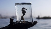 Ahli biologi Gabriela Santos menunjukkan kuda laut (hablulae mustofae) yang dia kumpulkan dari lepas pantai Urca di Rio de Janeiro, Brasil, Senin (20/6/2022) waktu setempat.  