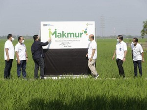 Erick Thohir Bikin Produktivitas Petani Naik, Begini Caranya