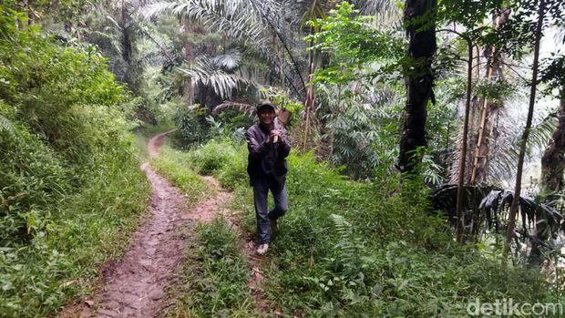Suasana Kampung Tonjong di Bandung Barat.