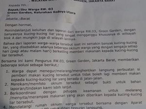 Viral Surat Edaran RW di Jakbar Larang Warga Beri Makan Kucing Liar