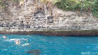 Salah saatunya adalah snorkeling di Manta Point (Syanti/detikcom)